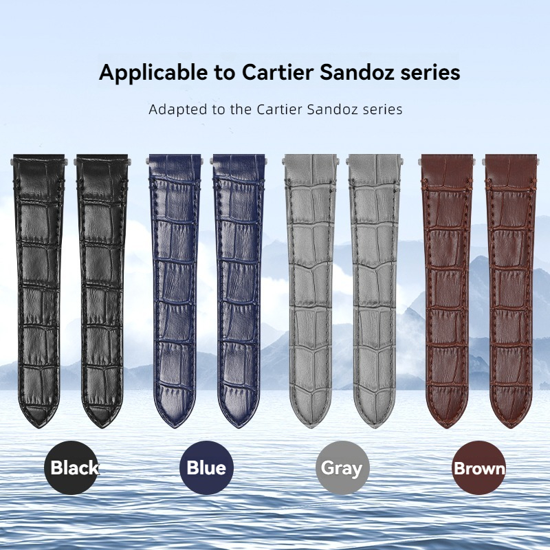 Für Cartier Santos Schnellvers – Cartier Watch Santos Bewertung und Preis